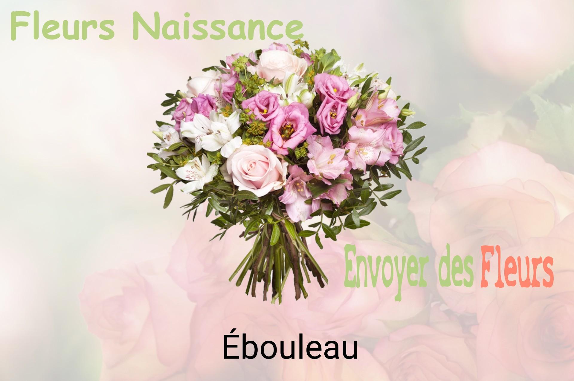 Bouquet de fleurs de naissance livré à Ébouleau